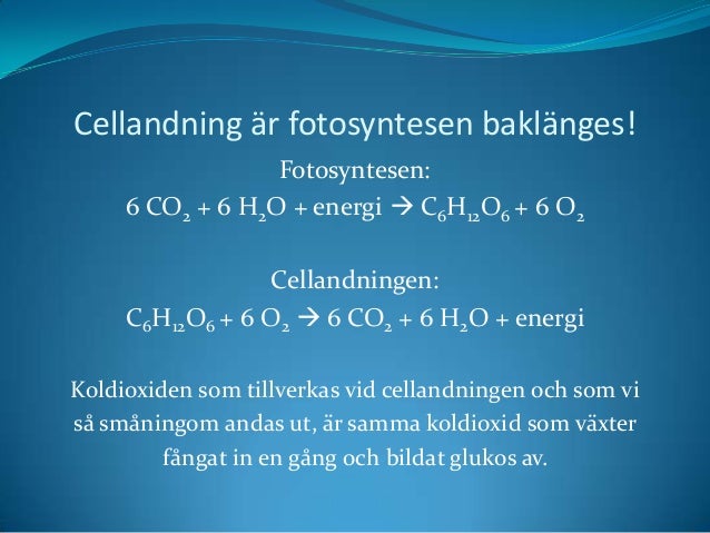vad är cellandning vad är cellandning